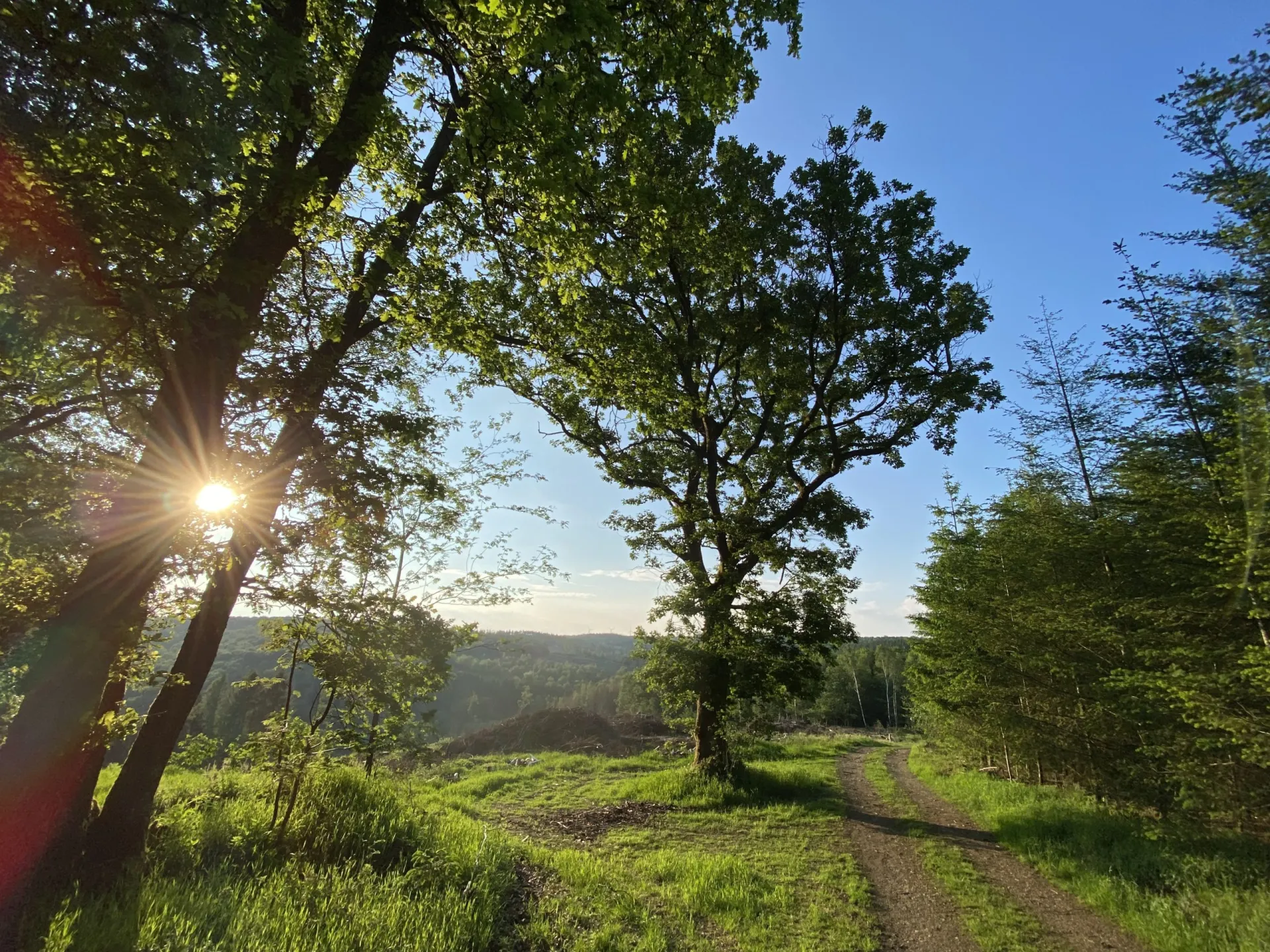 Fern ab von Trubel und Menschenmassen, einfach mal nur wandern, radeln, Natur entdecken und genießen…