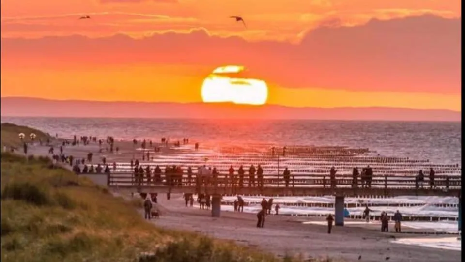 Ostseehase Graal-Müritz