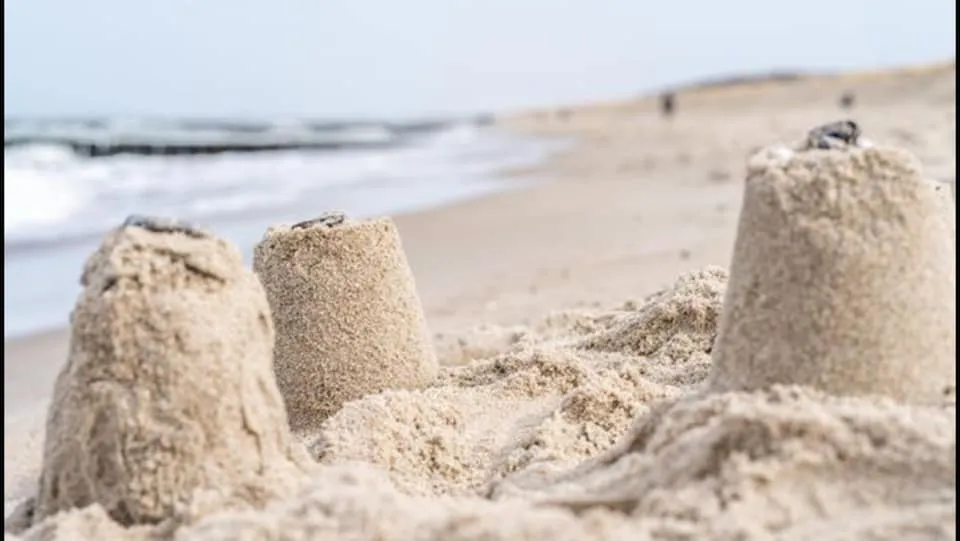 Ostseehase Graal-Müritz